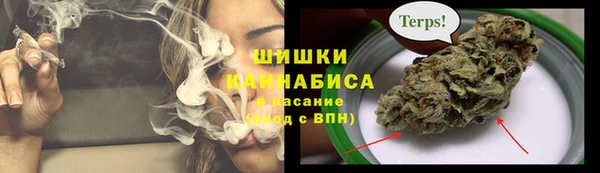 ПСИЛОЦИБИНОВЫЕ ГРИБЫ Переславль-Залесский