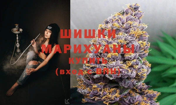 круглые Пересвет