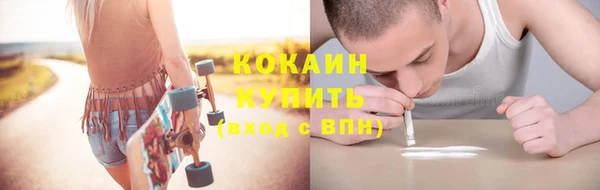ПСИЛОЦИБИНОВЫЕ ГРИБЫ Переславль-Залесский