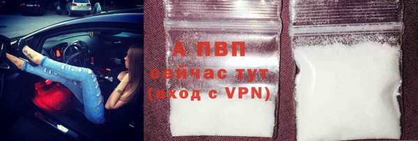 ПСИЛОЦИБИНОВЫЕ ГРИБЫ Переславль-Залесский