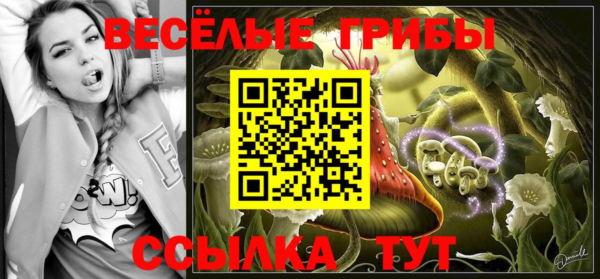 Биробиджан  Вход с VPN  МЕФ   APVP СК   ГАШИШ  Кокаин  Марихуана 