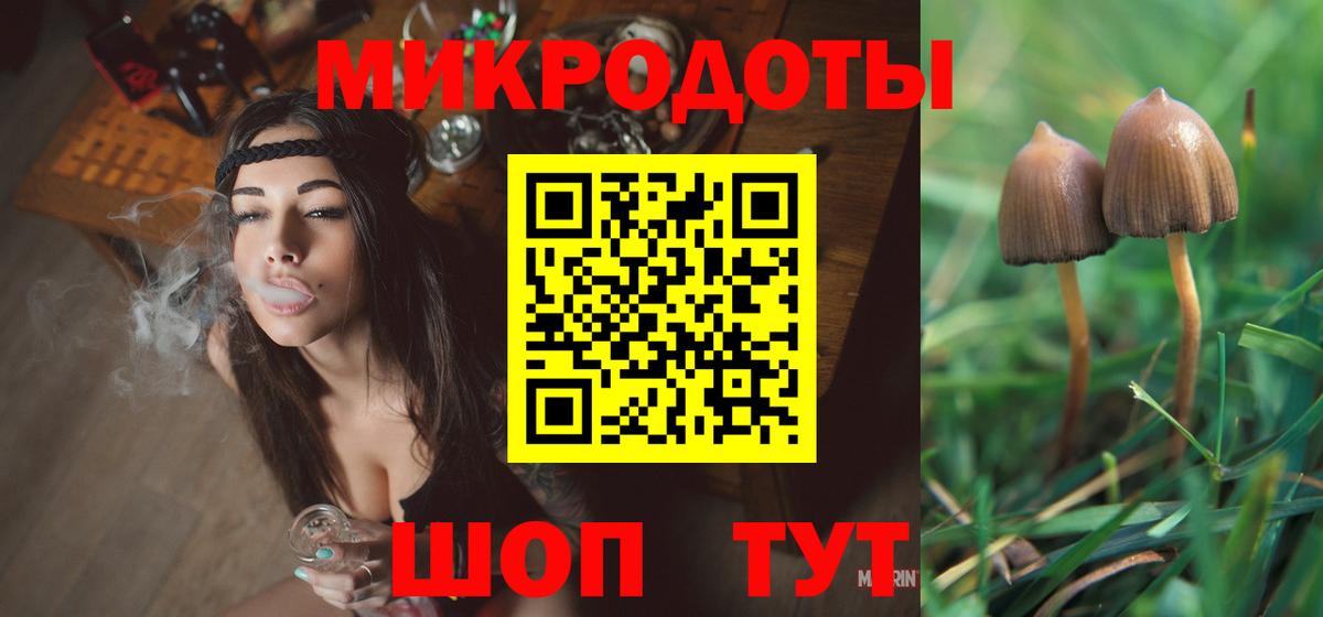 Биробиджан  Псилоцибиновые грибы прущие грибы  Вход с VPN  Галлюциногенные грибы мицелий 